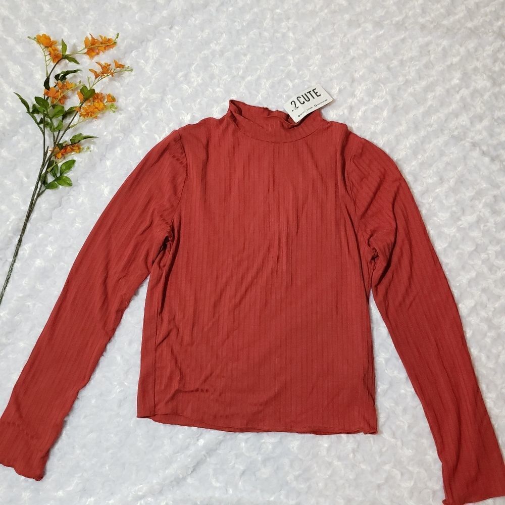 Ambiance size large long sleeve red top